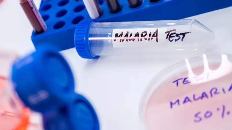 Casos de malaria bajan 81% en República Dominicana en 2026