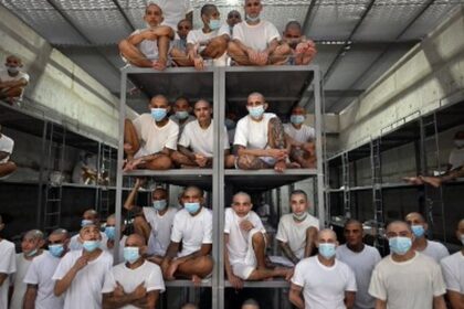 Juicio histórico a 220 miembros de la MS-13 en El Salvador