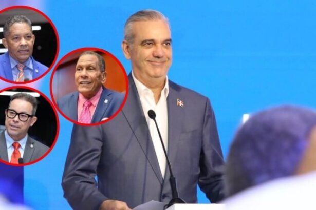 Legisladores del PRM apoyan llamado de unidad de Abinader