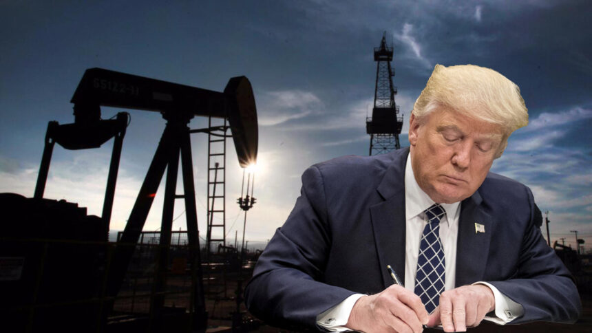 Trump ordena investigar precios de gasolina pese a baja del crudo