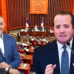 Fuerza del Pueblo acusa al PRM de campaña electoral anticipada